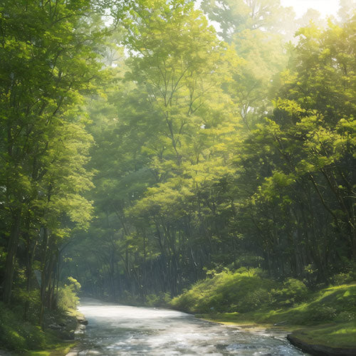 Respect de l&#39;environnement